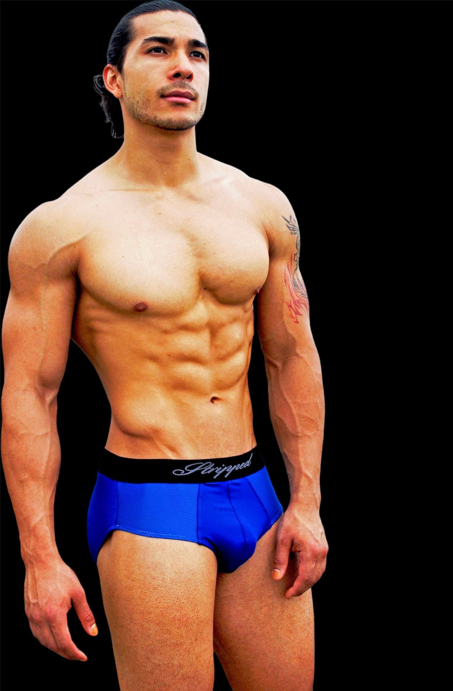 Blue Brief