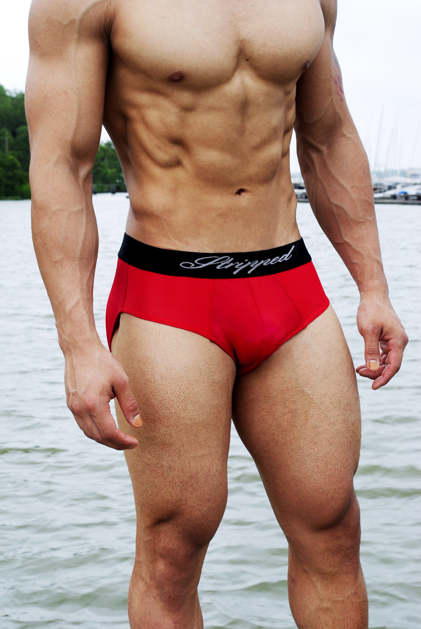 Red Brief